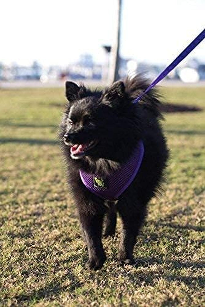 Dog Harness - Eco-Friendly Max Comfort Harnesses - Luxurious Soft Mesh Halter - over the Head Harness Vest- No Pull and No Choke for Puppy, Toy Breeds & Small Dogs (Medium, Purple)